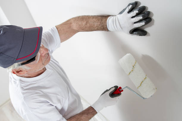 Best Environmental Consulting for Mold Prevention  in Oak Grove, MO