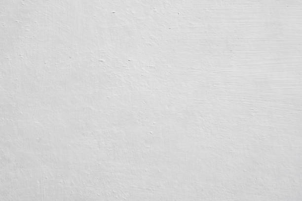 Mold Remediation for Vacation Homes in Oak Grove, MO