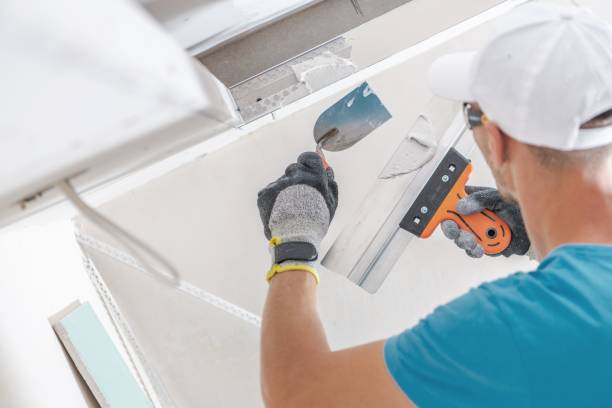 Best Asbestos and Lead Testing During Mold Inspection  in Oak Grove, MO